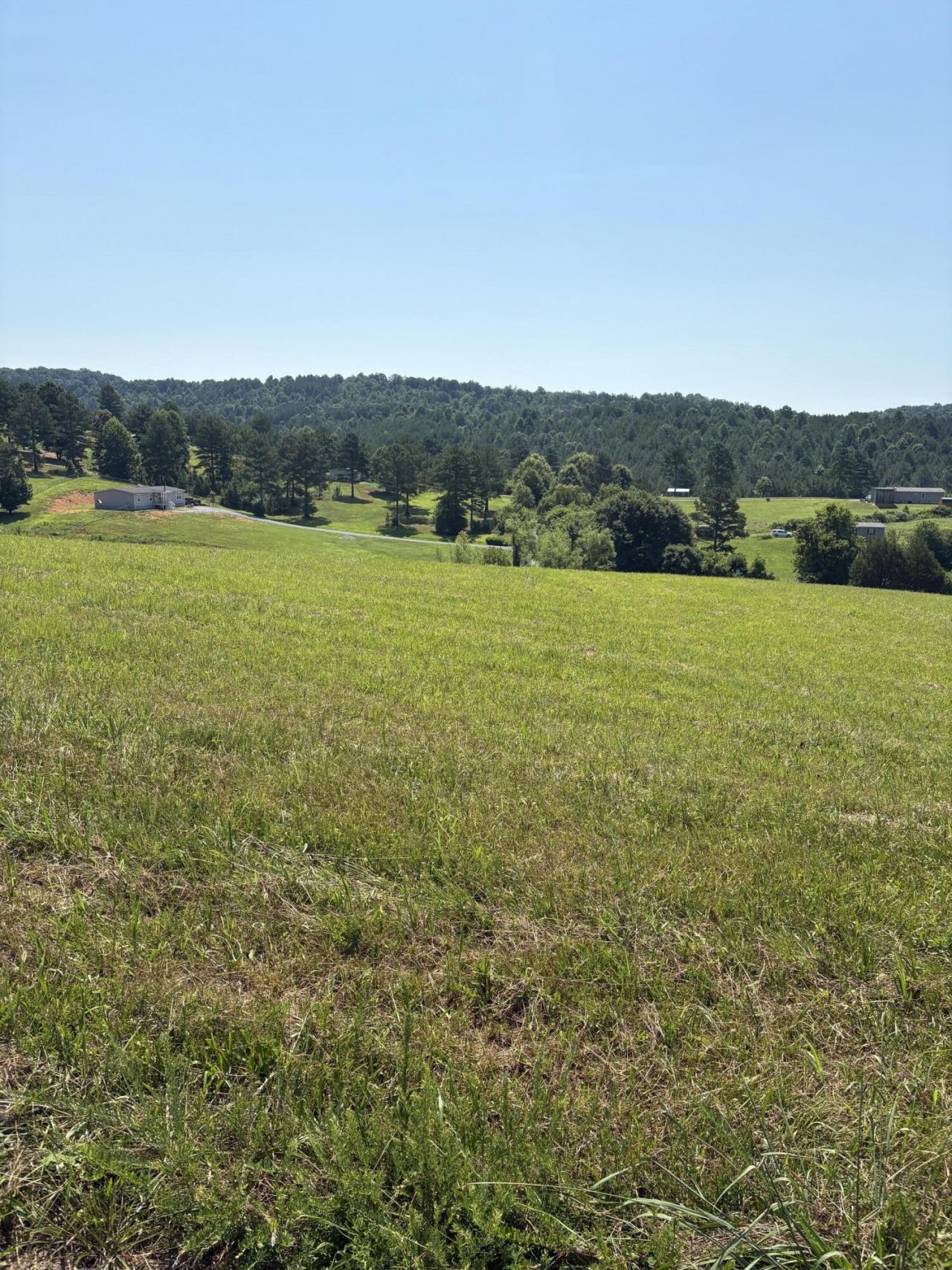 0 Goodfield Road, Decatur, TN 37322 Main Photo