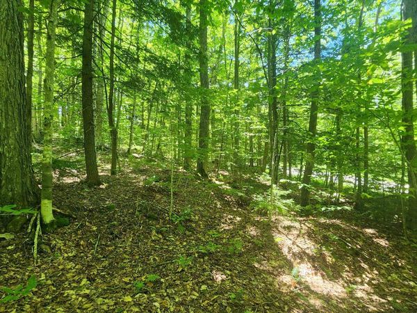 00 Hillcrest Road, Andover, VT 05143