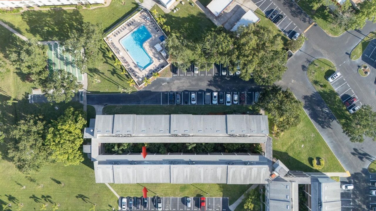 2700 Bayshore Boulevard, Unit 5108, Dunedin, FL 34698 Photo