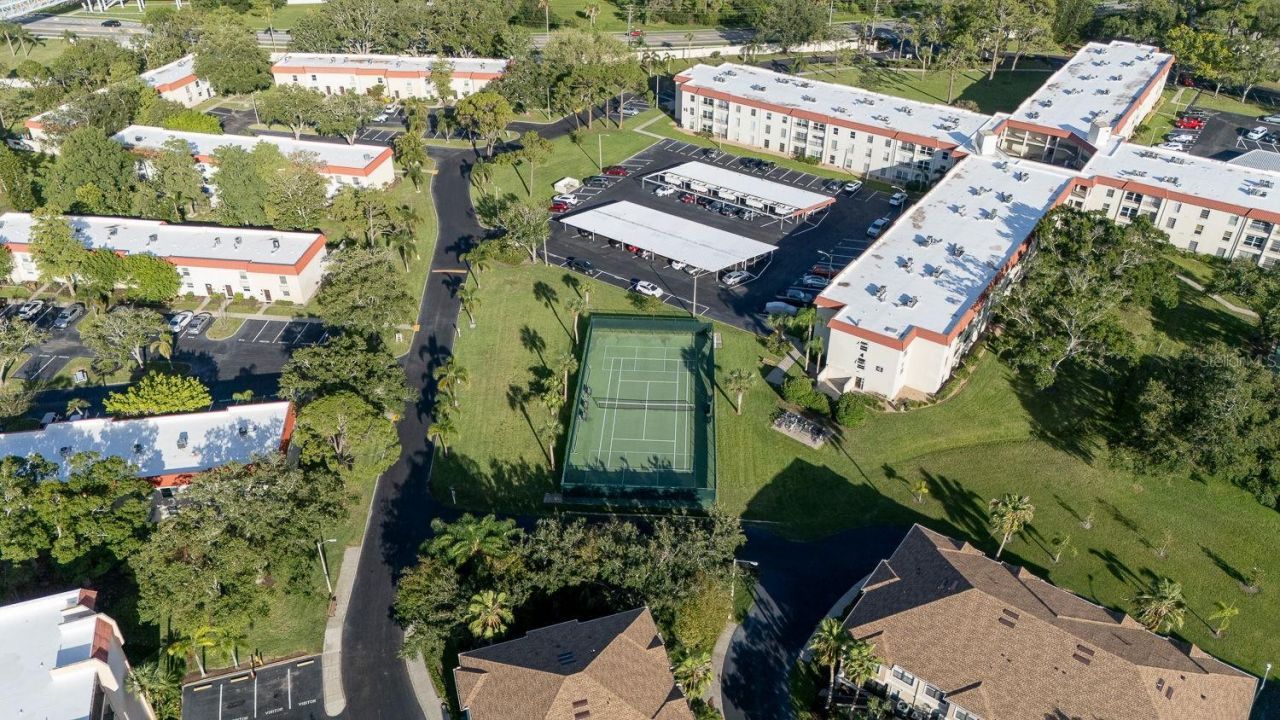 2700 Bayshore Boulevard, Unit 5108, Dunedin, FL 34698 Photo