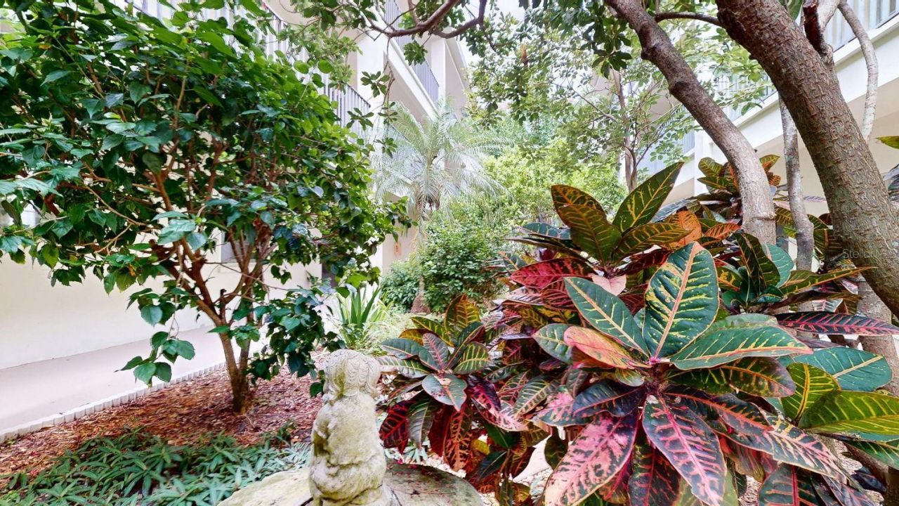 2700 Bayshore Boulevard, Unit 5108, Dunedin, FL 34698 Photo