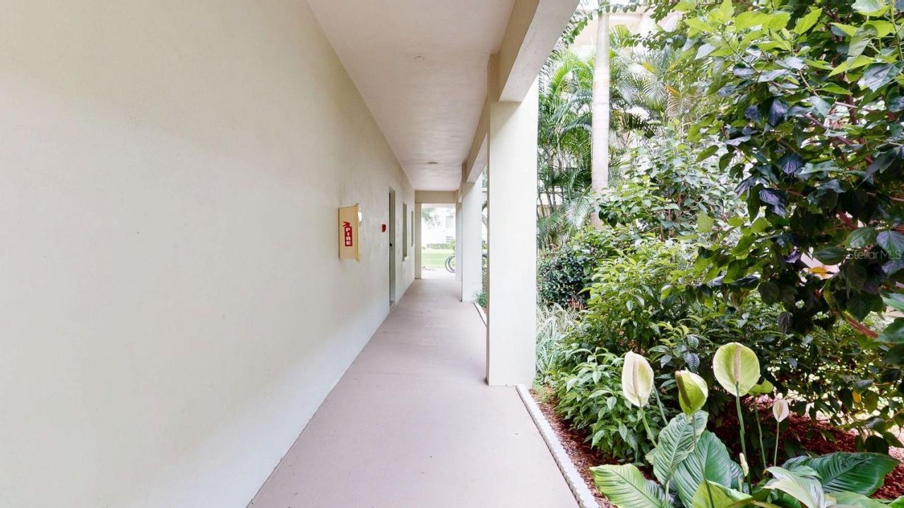 2700 Bayshore Boulevard, Unit 5108, Dunedin, FL 34698 Photo