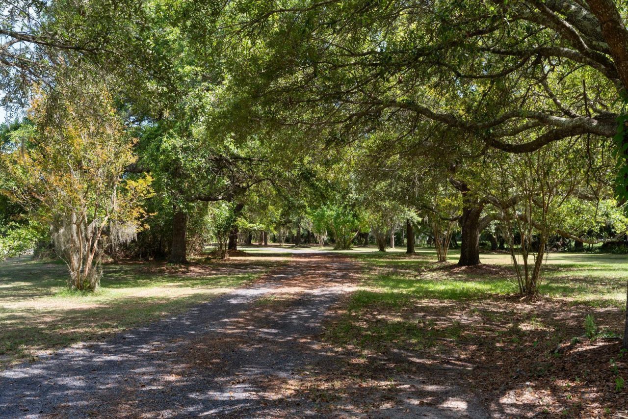 315 Lofton Court Photo 49