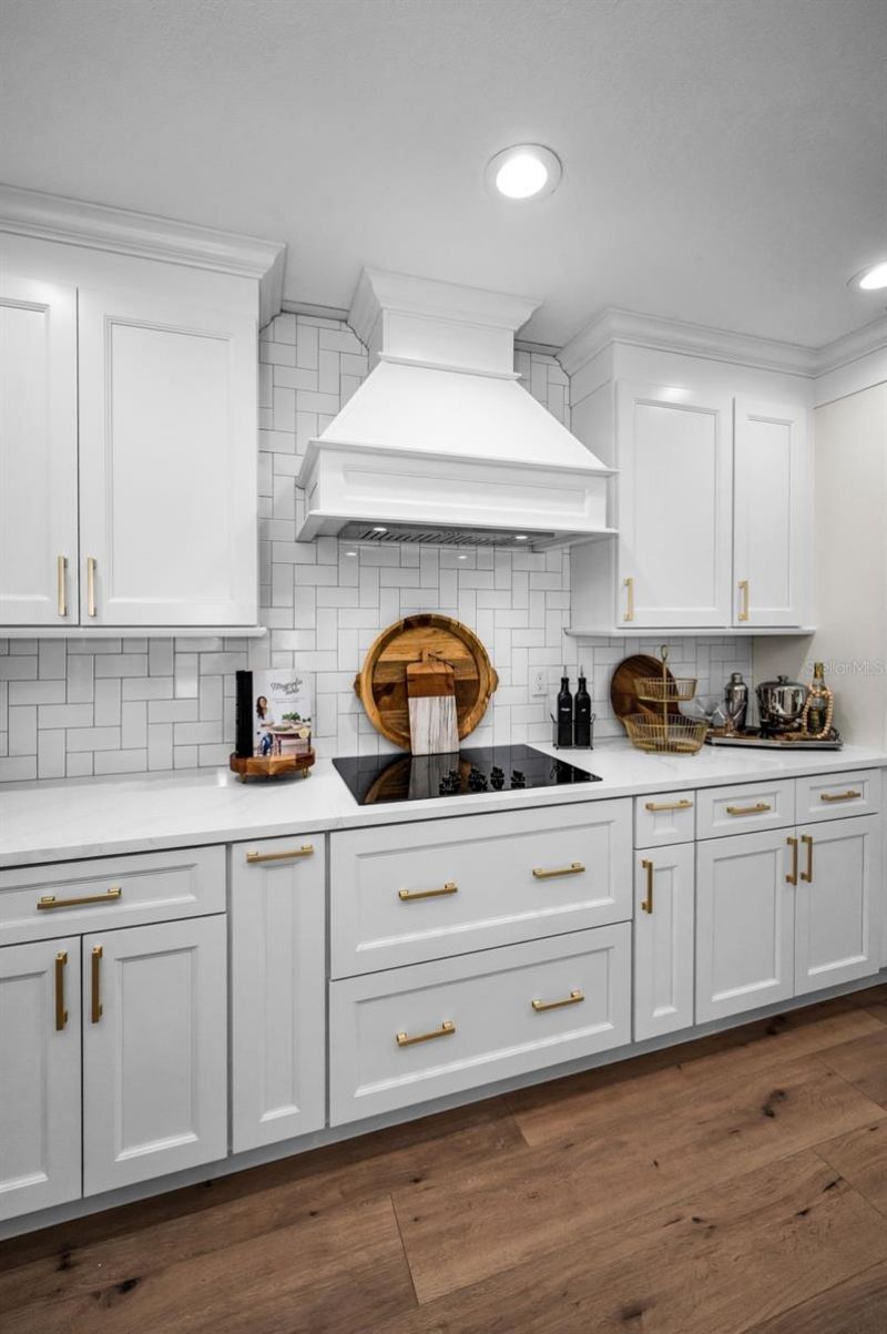 409 S Barbara Lane, Tampa, FL 33609 Photo