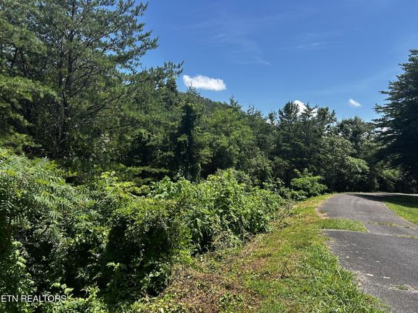 Highlands Bluff Rd, Tellico Plains, TN 37385
