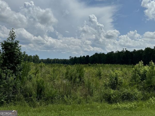 3854 Us Hwy 19, Meansville, GA 30256