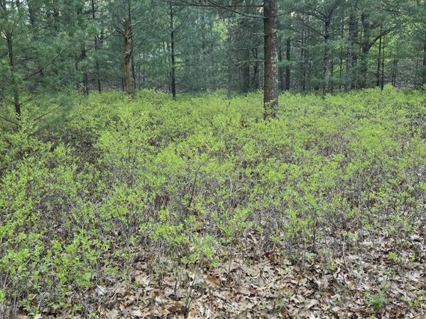 V/L PENTWATER Boulevard, Pentwater, MI 49449