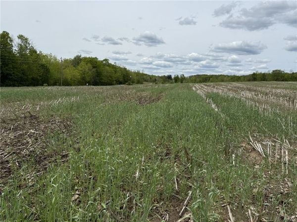 L7.415 County Road 7, Mc Donough, NY 13801