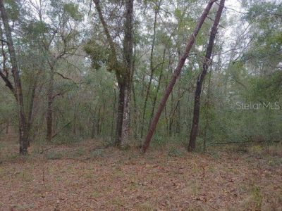 0 Us 41 Highway, Floral City, FL 34436 Photo