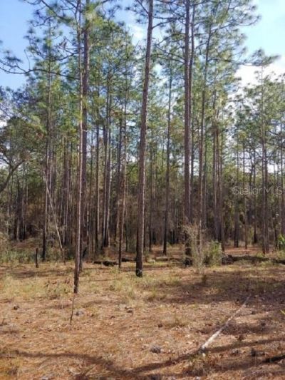 0 Us 41 Highway, Floral City, FL 34436 Photo