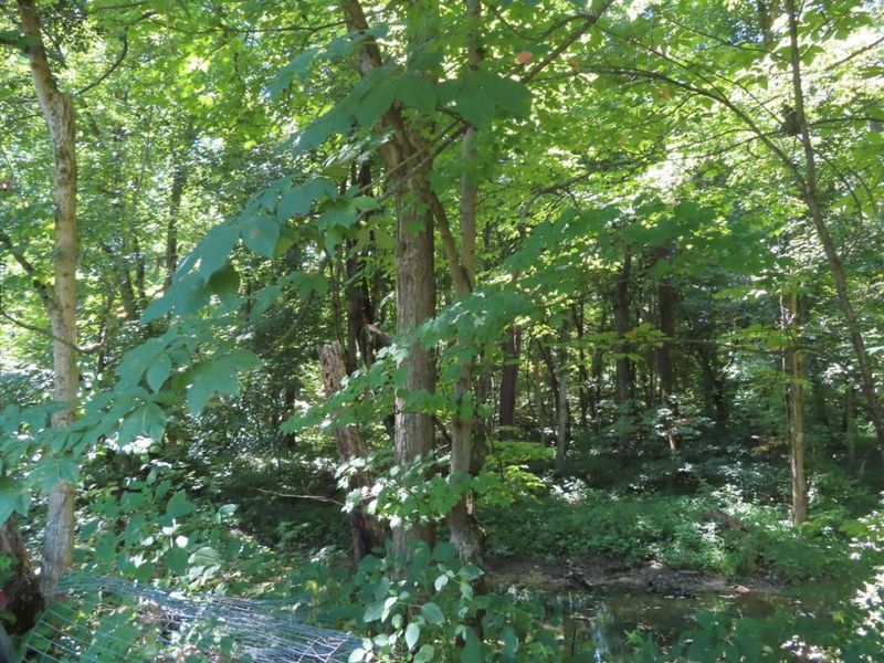 485 Springer Road, Chillicothe, OH 45601 Photo 16