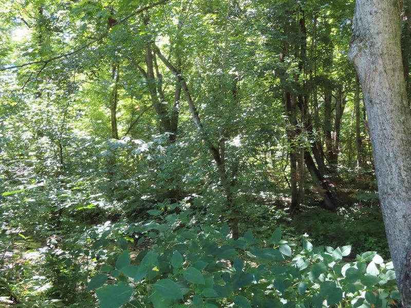 485 Springer Road, Chillicothe, OH 45601 Photo 18