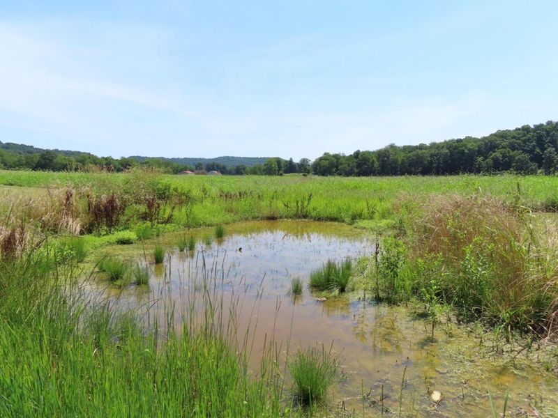 485 Springer Road, Chillicothe, OH 45601 Photo 24