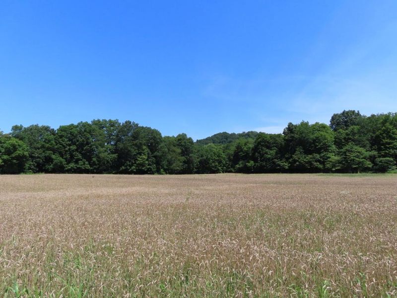 485 Springer Road, Chillicothe, OH 45601 Photo 28