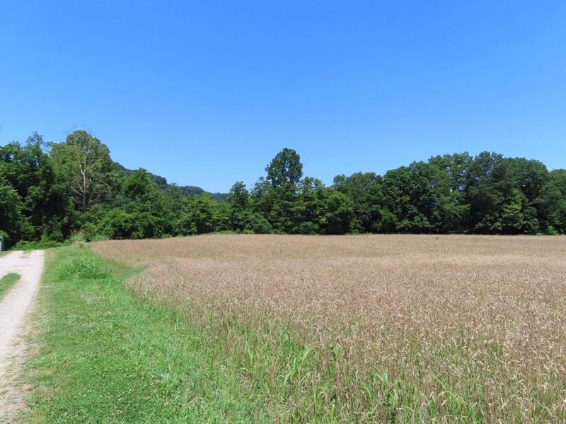 485 Springer Road, Chillicothe, OH 45601 Photo 29