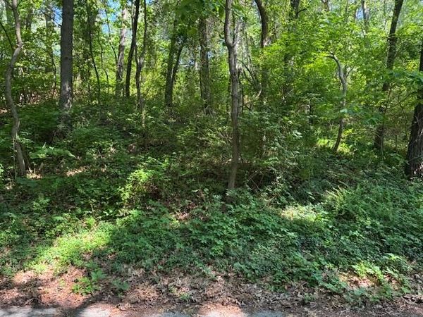 4 Lilac Lane, Grand Beach, MI 49117