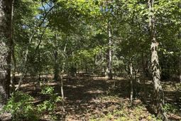 6110 Hosanna Way photo 4