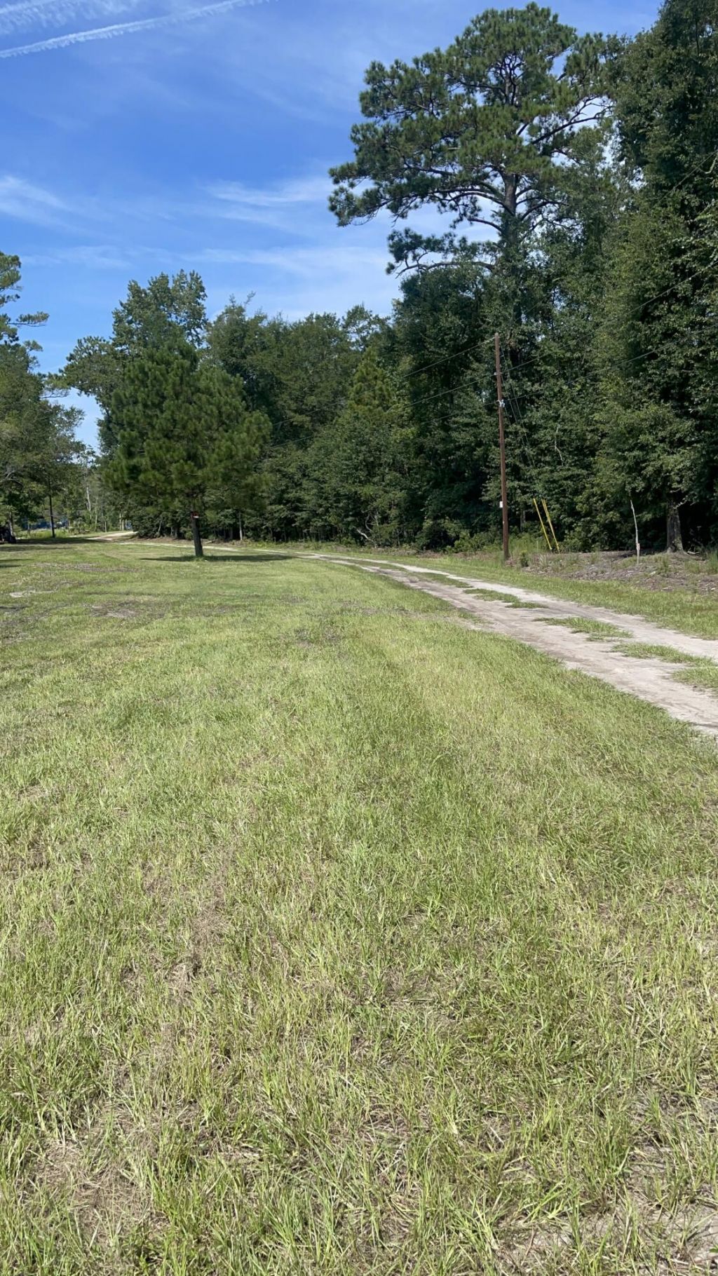 6110 Hosanna Way Photo 9