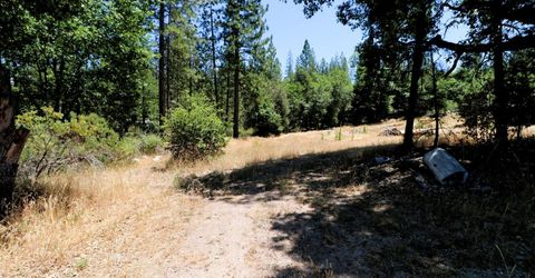 1402 Meredith Ln, Rail Road Flat, CA 95248 Photo