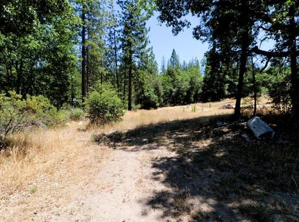 1402 Meredith Ln, Rail Road Flat, CA 95248 Photo