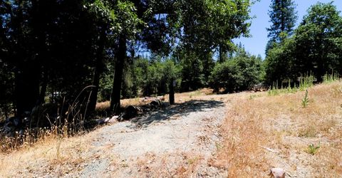 1402 Meredith Ln, Rail Road Flat, CA 95248 Photo
