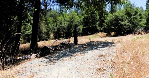 1402 Meredith Ln, Rail Road Flat, CA 95248 Photo