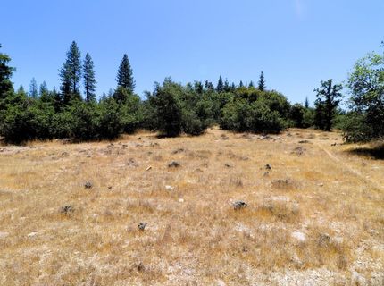 1402 Meredith Ln, Rail Road Flat, CA 95248 Photo