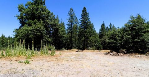1402 Meredith Ln, Rail Road Flat, CA 95248 Photo