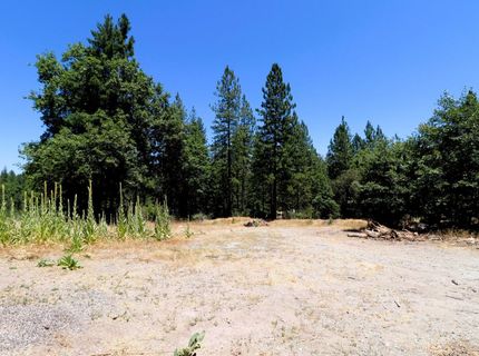 1402 Meredith Ln, Rail Road Flat, CA 95248 Photo