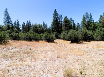 1402 Meredith Ln, Rail Road Flat, CA 95248 Photo