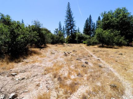 1402 Meredith Ln, Rail Road Flat, CA 95248 Photo
