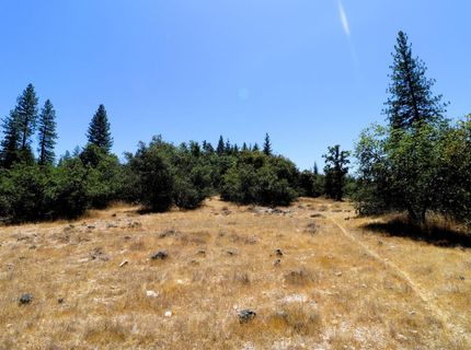 1402 Meredith Ln, Rail Road Flat, CA 95248 Photo