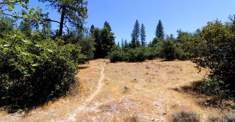 1402 Meredith Ln, Rail Road Flat, CA 95248 Photo