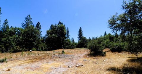 1402 Meredith Ln, Rail Road Flat, CA 95248 Photo
