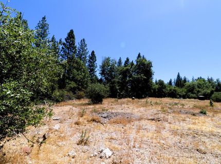1402 Meredith Ln, Rail Road Flat, CA 95248 Photo
