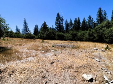 1402 Meredith Ln, Rail Road Flat, CA 95248 Photo