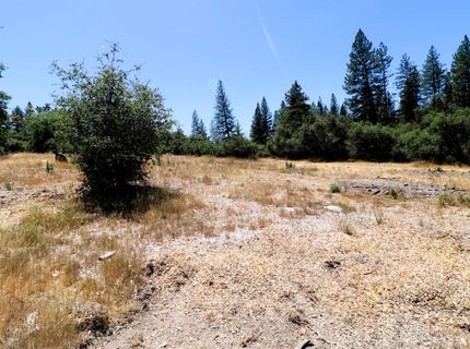 1402 Meredith Ln, Rail Road Flat, CA 95248 Photo