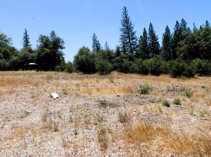1402 Meredith Ln, Rail Road Flat, CA 95248 Photo