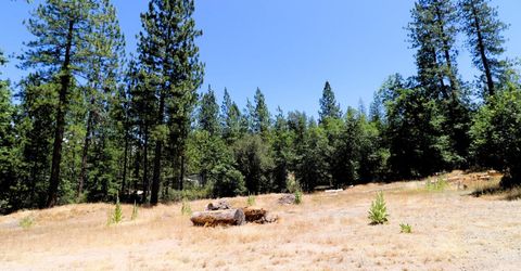 1402 Meredith Ln, Rail Road Flat, CA 95248 Photo