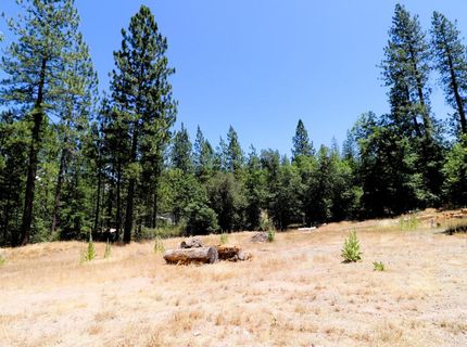 1402 Meredith Ln, Rail Road Flat, CA 95248 Photo