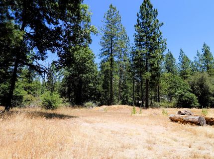1402 Meredith Ln, Rail Road Flat, CA 95248 Photo