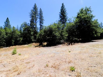 1402 Meredith Ln, Rail Road Flat, CA 95248 Photo