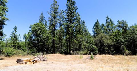 1402 Meredith Ln, Rail Road Flat, CA 95248 Photo