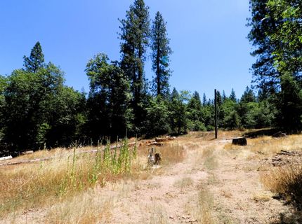 1402 Meredith Ln, Rail Road Flat, CA 95248 Photo