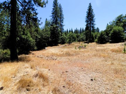 1402 Meredith Ln, Rail Road Flat, CA 95248 Photo