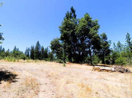 1402 Meredith Ln, Rail Road Flat, CA 95248 Photo