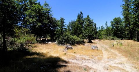 1402 Meredith Ln, Rail Road Flat, CA 95248 Photo