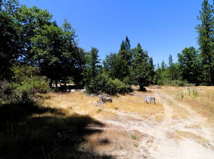 1402 Meredith Ln, Rail Road Flat, CA 95248 Photo