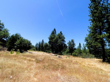 1402 Meredith Ln, Rail Road Flat, CA 95248 Photo