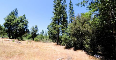 1402 Meredith Ln, Rail Road Flat, CA 95248 Photo